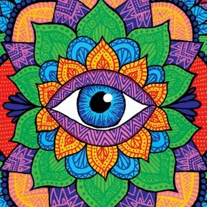 Meet your Posher, Daryl